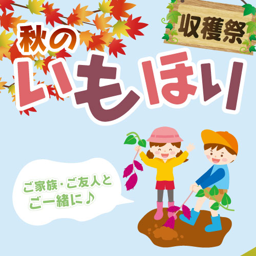 20230905_いもほりイベント_500.jpg